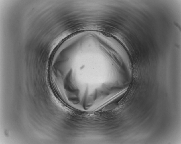 X0000100881139200807071120