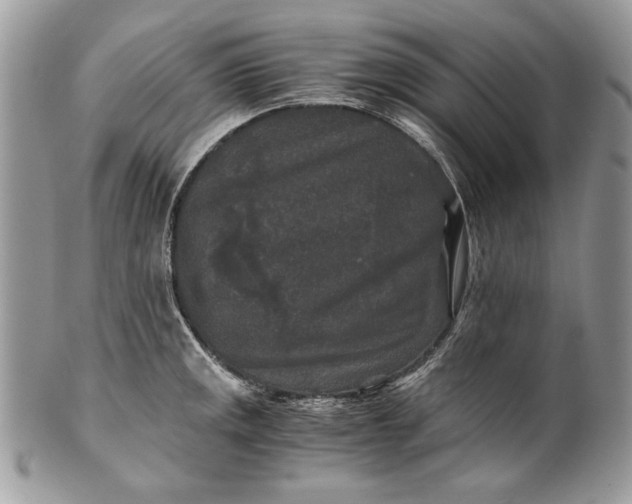 X0000100881141200807071120