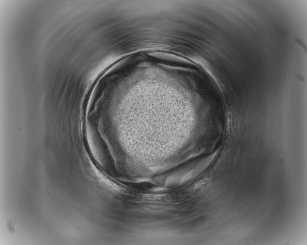 X0000100881143200807071120