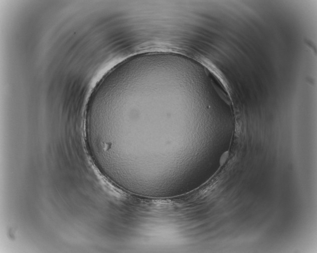 X0000100881144200807071120