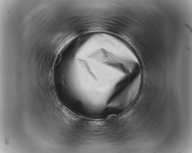 X0000100881145200807071120