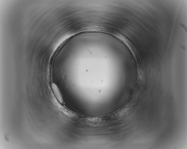 X0000100881147200807071120