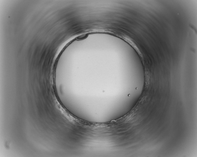 X0000100881148200807071120