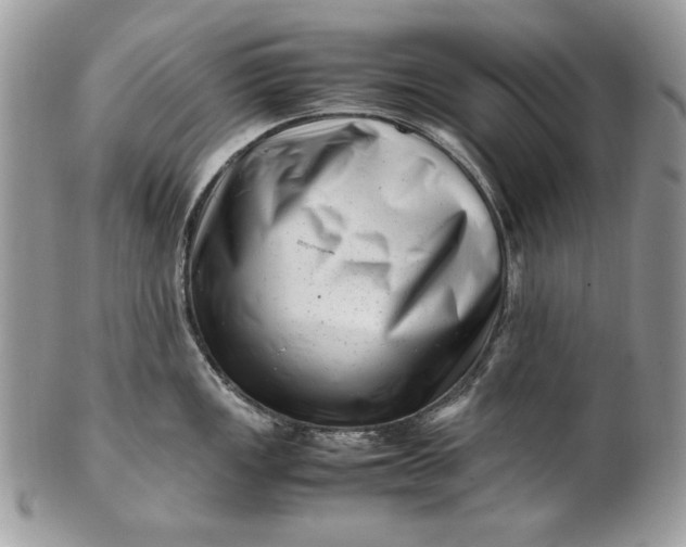 X0000100881149200807071120