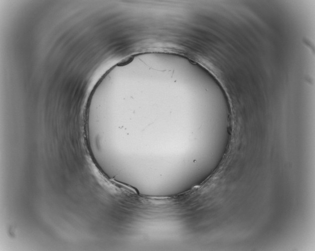 X0000100881152200807071120