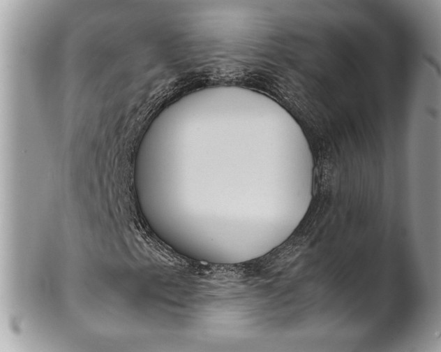 X0000100881153200807071119