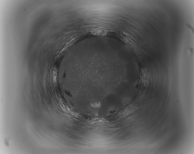 X0000100881154200807071119