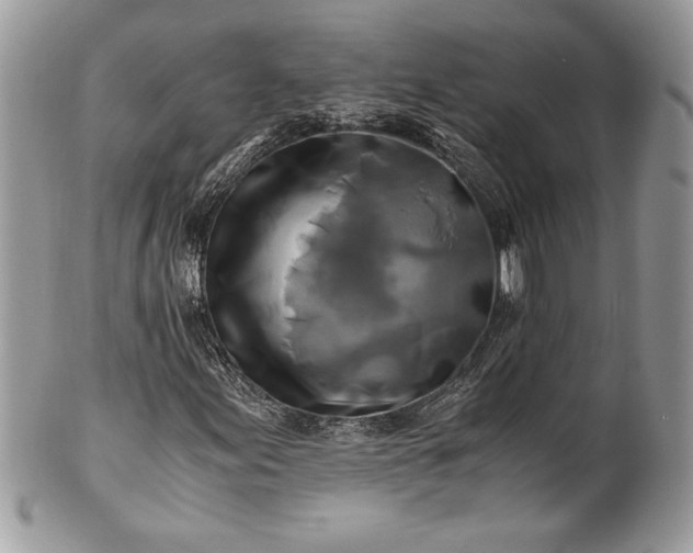 X0000100881155200807071119