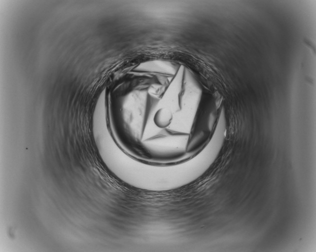 X0000100881156200807071119