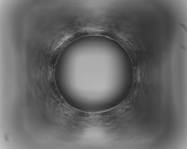 X0000100881157200807071119