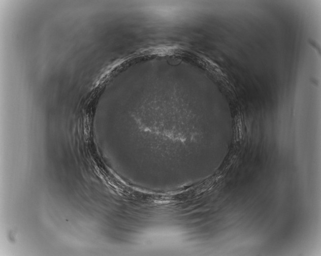 X0000100881158200807071119