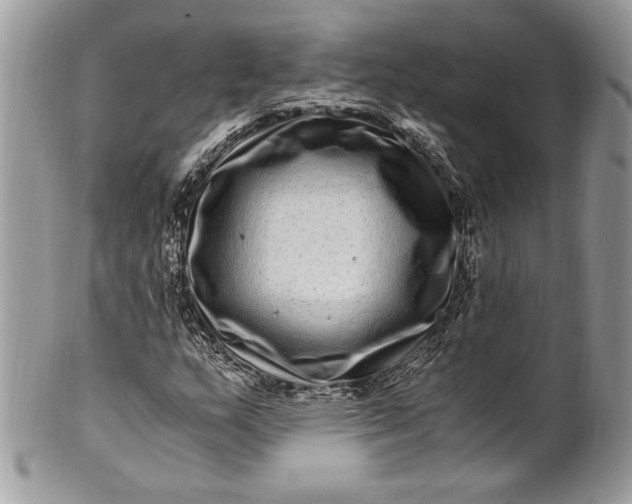 X0000100881159200807071119