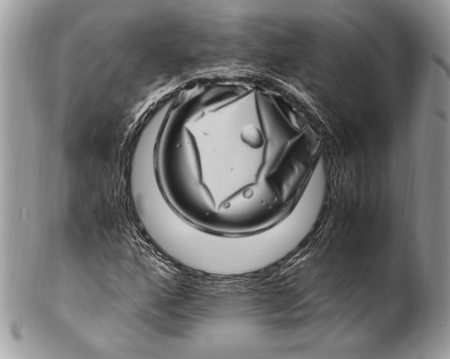 X0000100881160200807071119