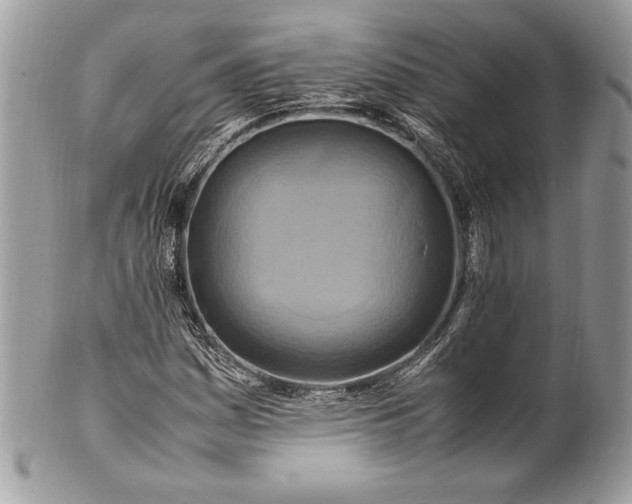 X0000100881161200807071119