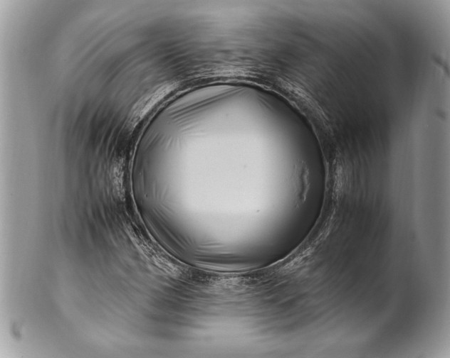 X0000100881162200807071119