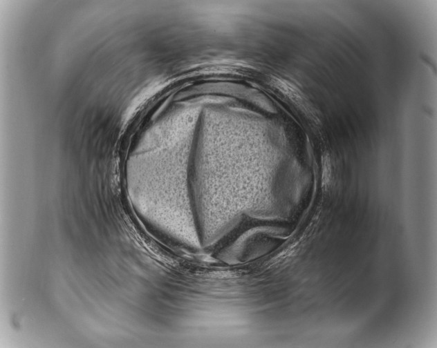 X0000100881164200807071119