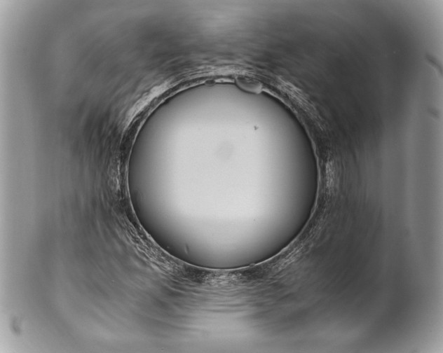 X0000100881165200807071119