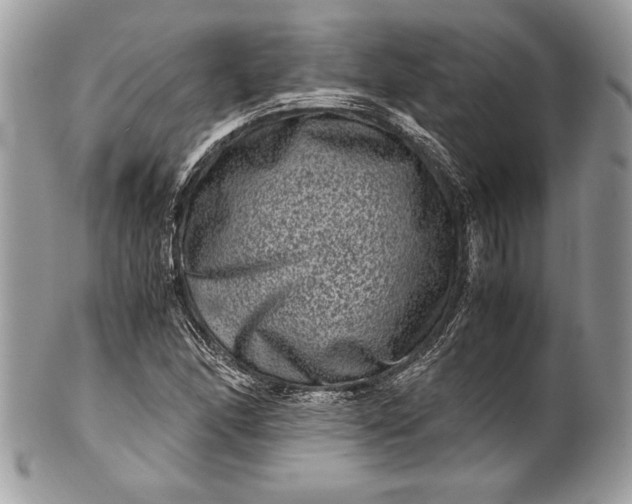 X0000100881166200807071119