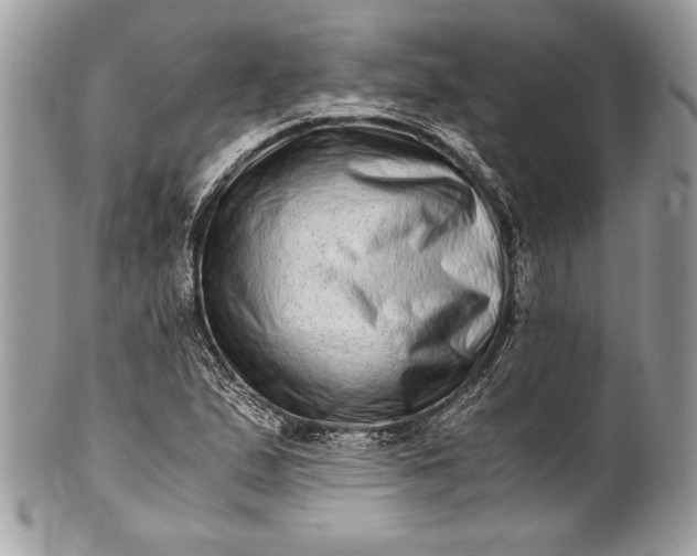 X0000100881167200807071119