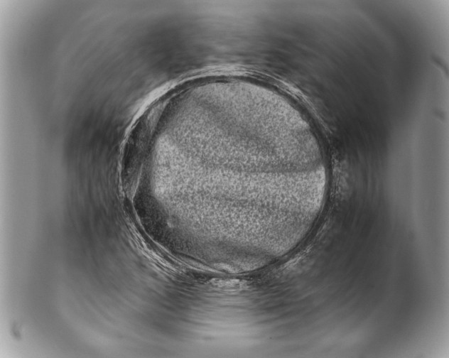 X0000100881168200807071119