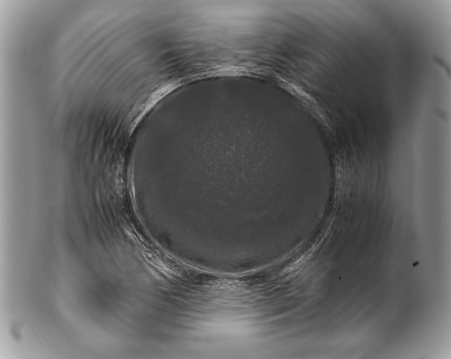 X0000100881170200807071119