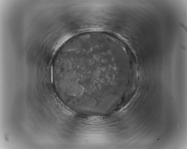 X0000100881171200807071119