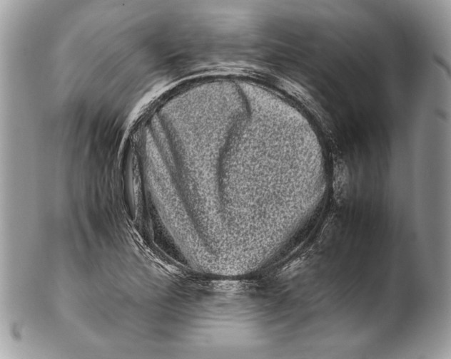 X0000100881172200807071119