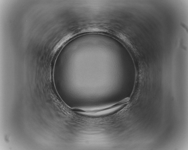 X0000100881173200807071119