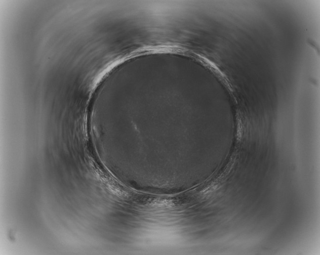 X0000100881174200807071119