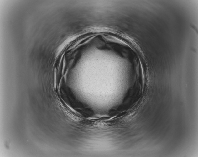 X0000100881175200807071119