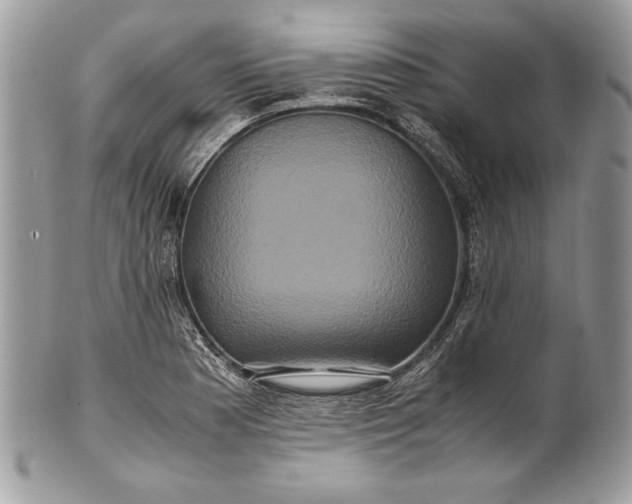 X0000100881177200807071119