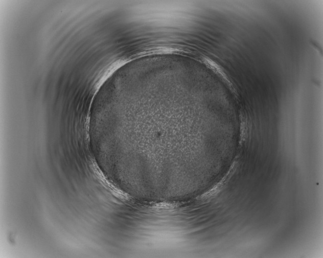 X0000100881178200807071119