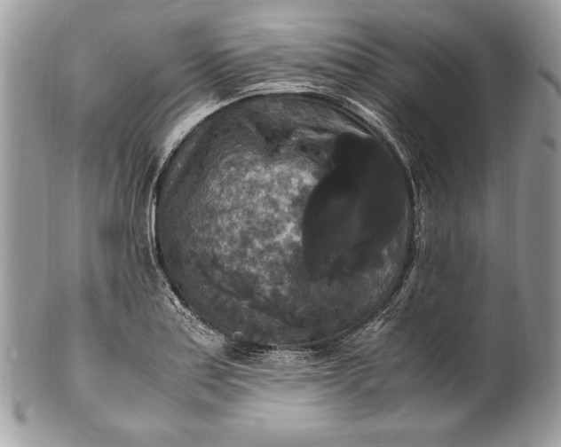 X0000100881179200807071119