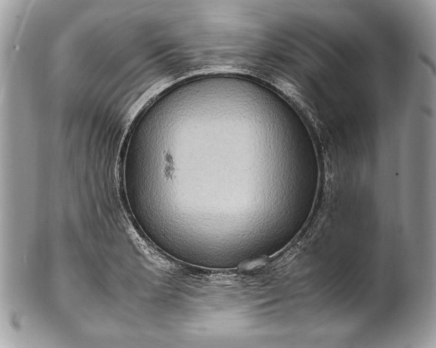 X0000100881181200807071119