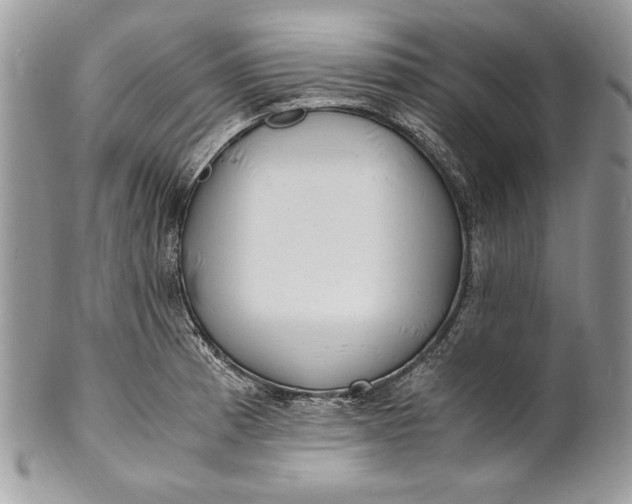 X0000100881185200807071119