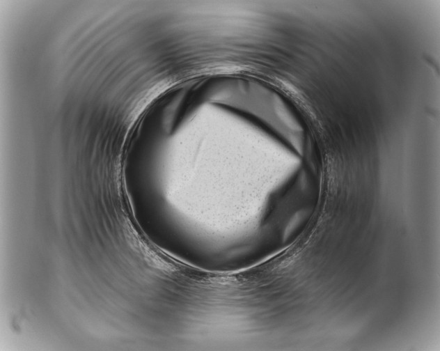 X0000100881186200807071119