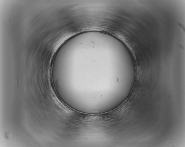 X0000100881187200807071119