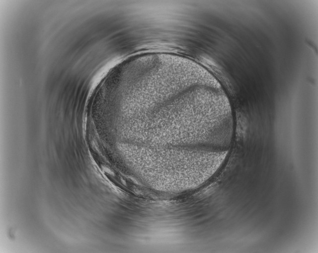 X0000100881188200807071118