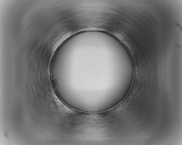 X0000100881189200807071118