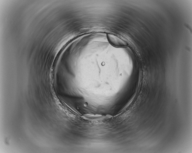 X0000100881190200807071118