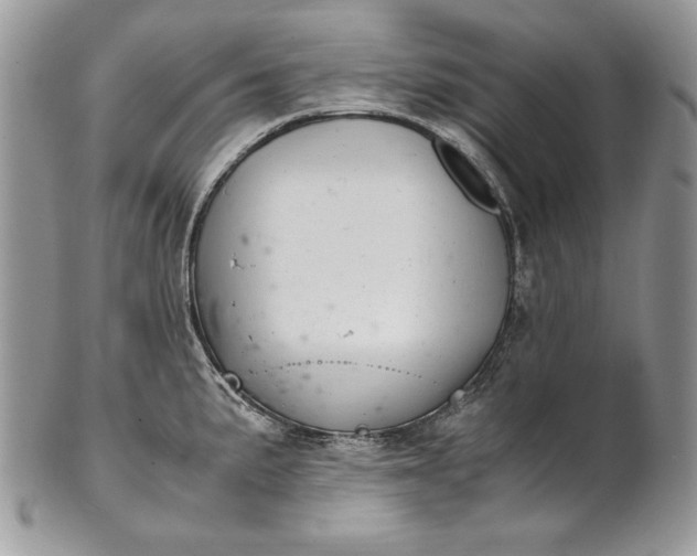 X0000100881191200807071118