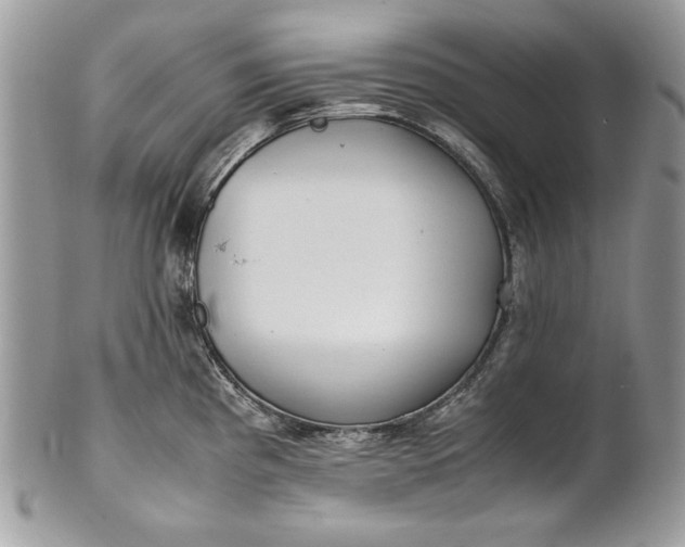 X0000100881193200807071118