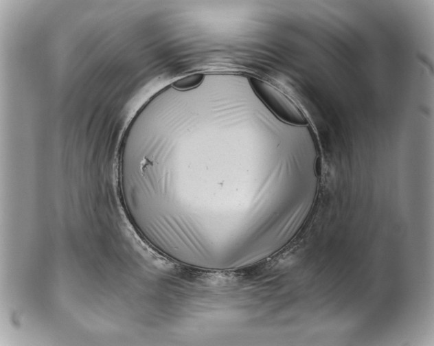 X0000100881195200807071118