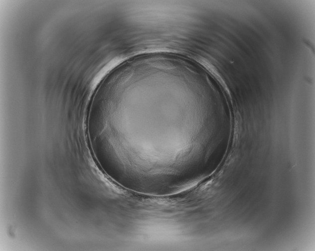 X0000100881197200807071118