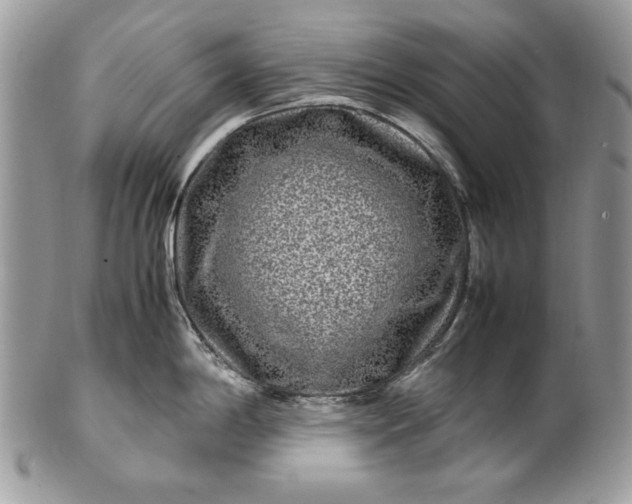 X0000100881198200807071118