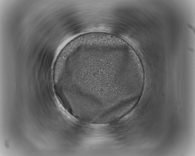 X0000100881200200807071118