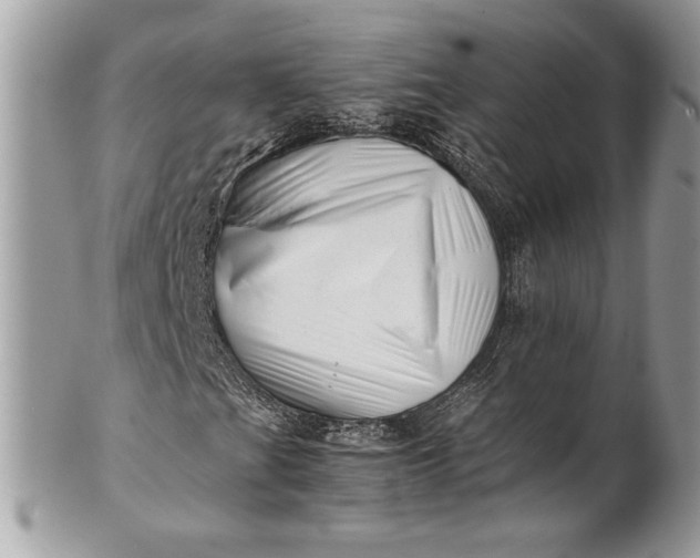 X0000100881201200807071118