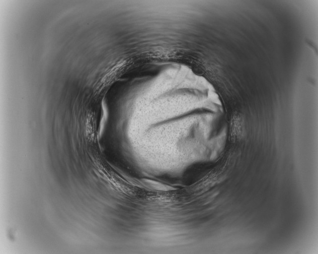 X0000100881202200807071118