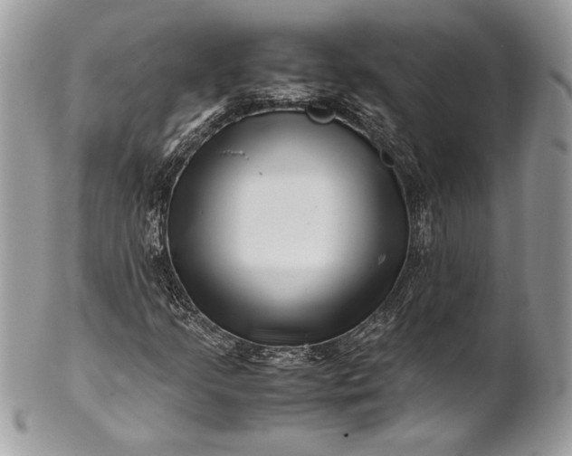 X0000100881205200807071118