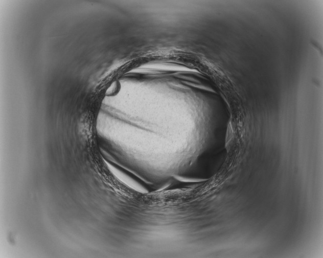 X0000100881206200807071118